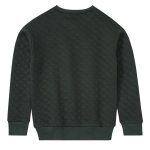 سویشرت پسرانه پیپرتس مدل دورس کد 18125781